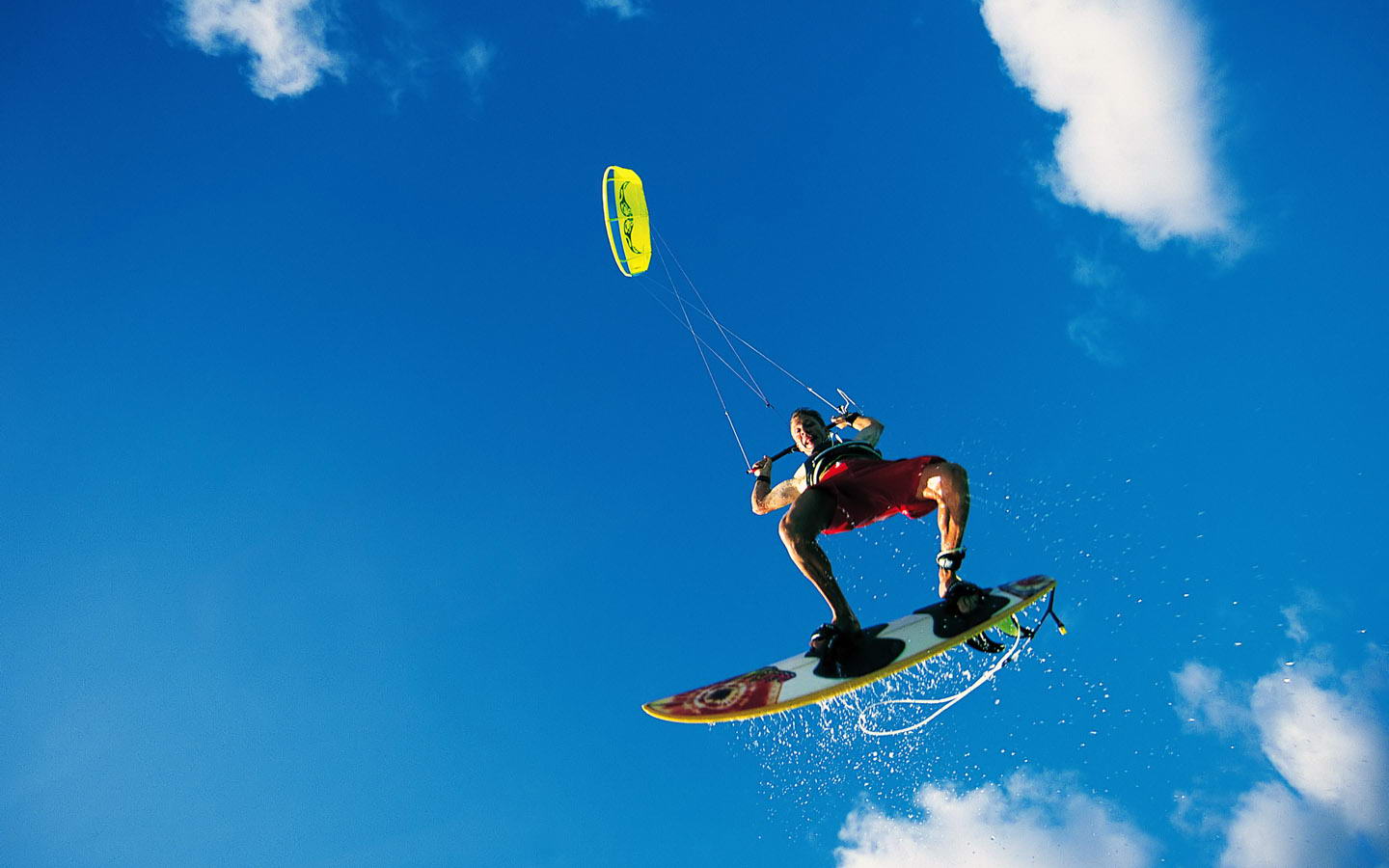 成功先例 成功先例