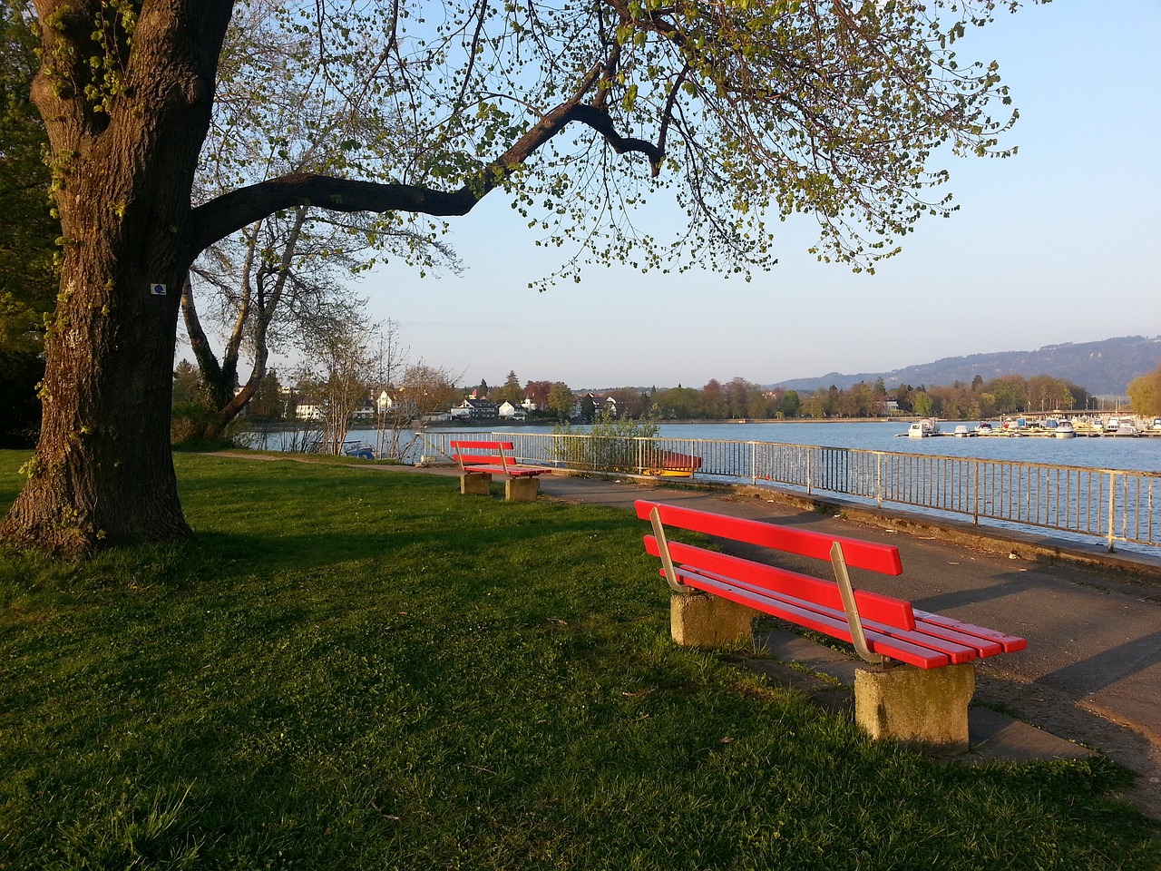 很多人相信 很多人相信