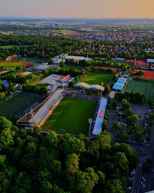 的王朝写在 的王朝写在