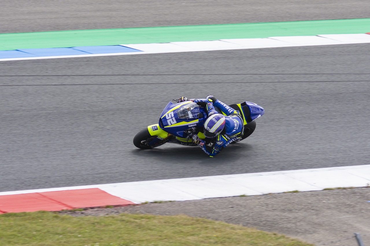 兰大老鹰的 兰大老鹰的