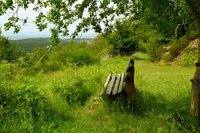 努力赢得长 努力赢得长